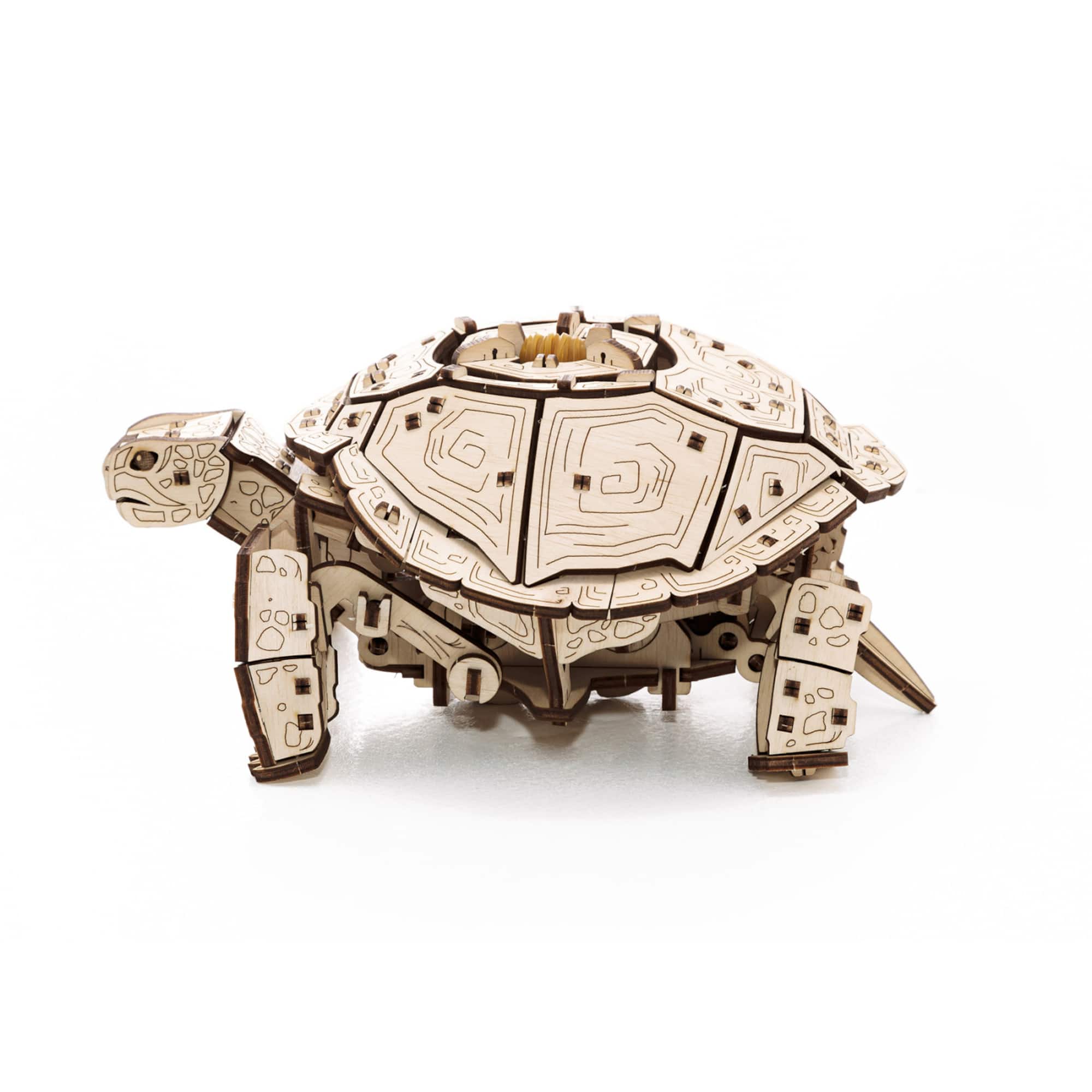 EWA™ Eco-Wood-Art Turtle 3D Wooden STEM Construction Kit